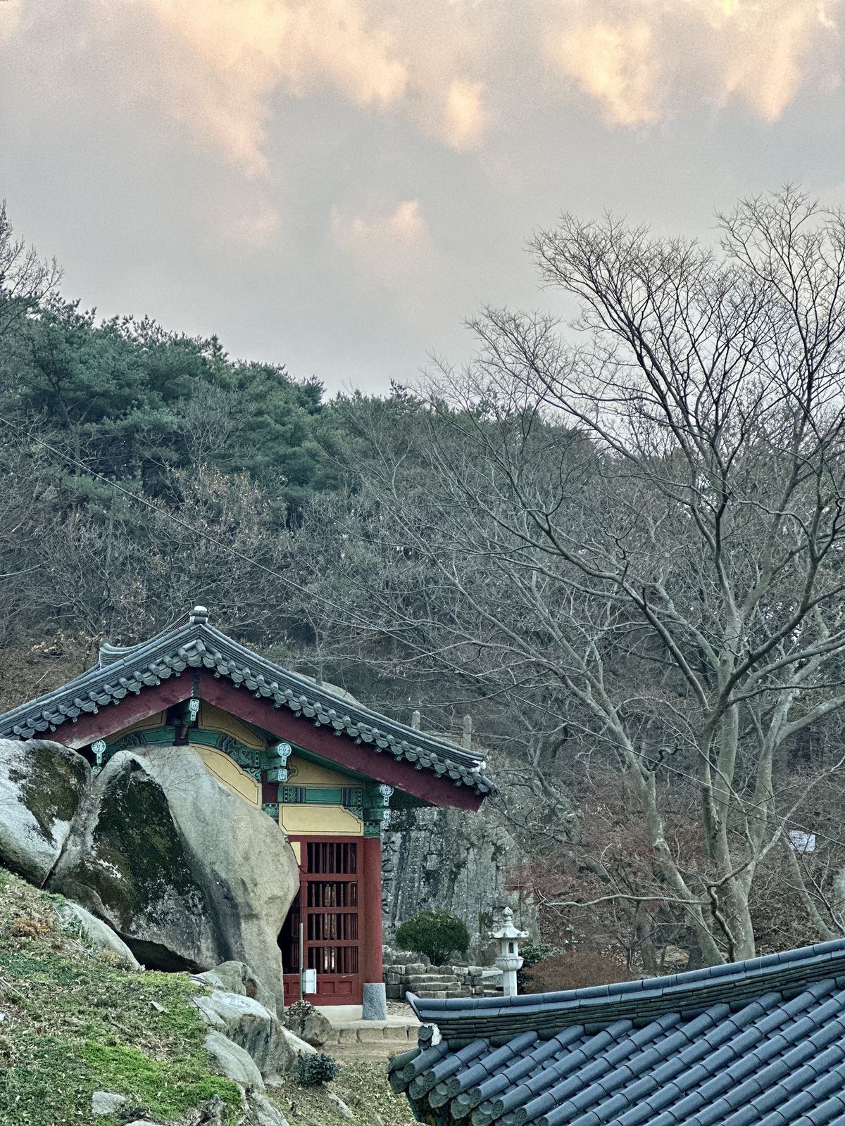 사진/ 신진주