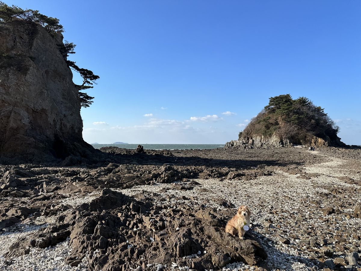 사진/ 신진주