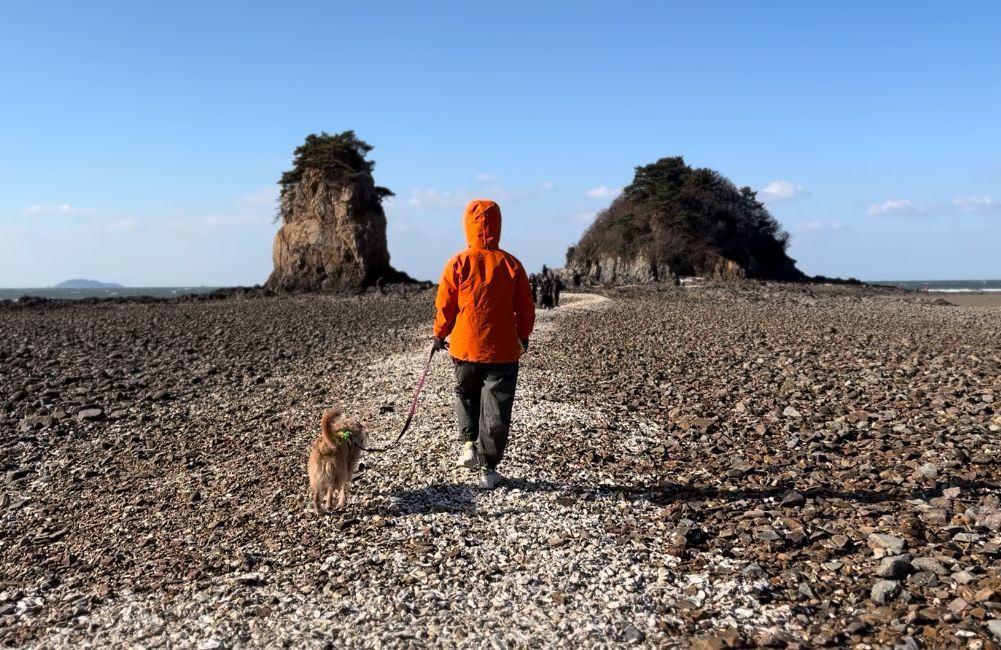 사진/ 신진주
