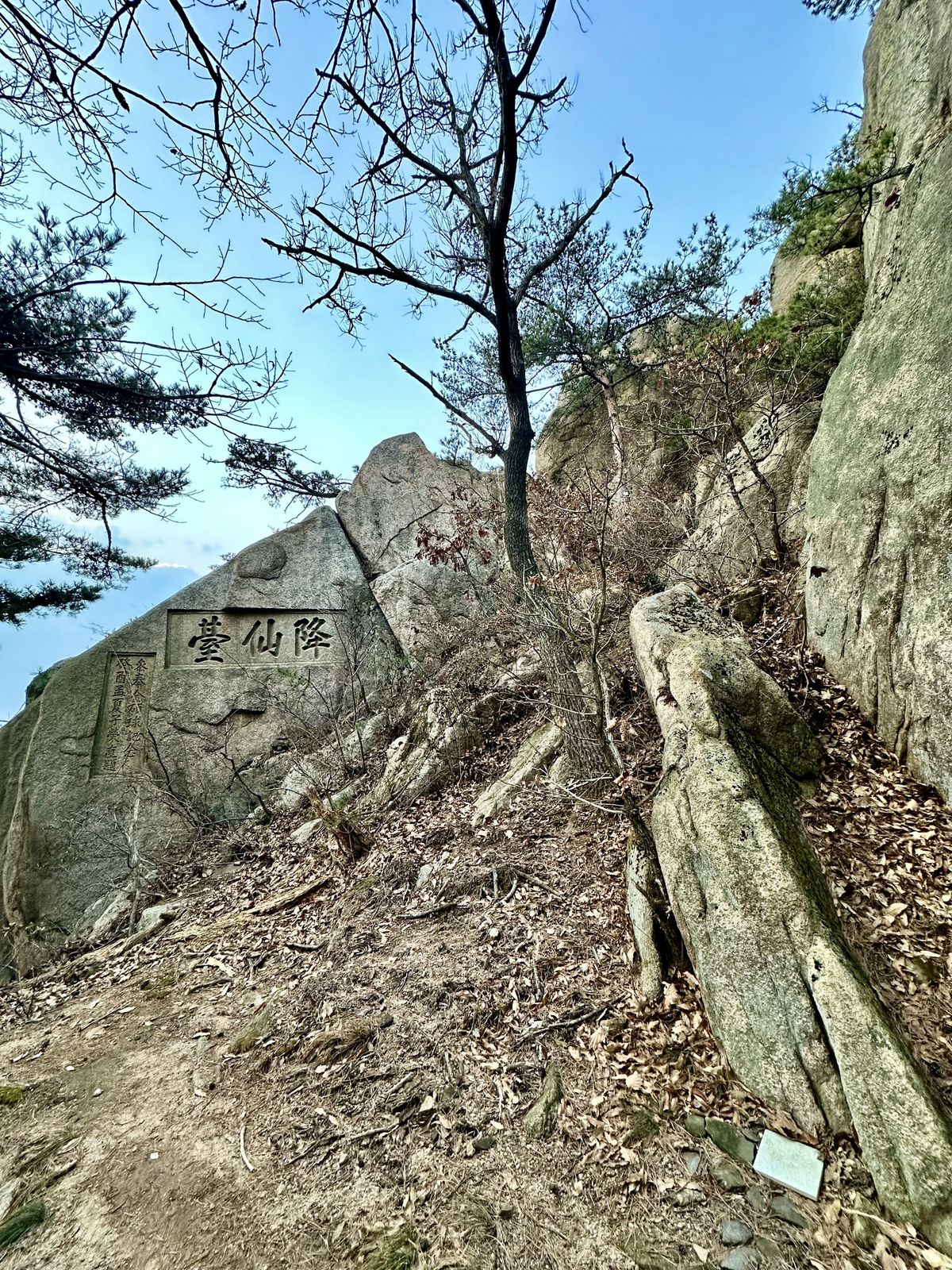사진/ 신진주