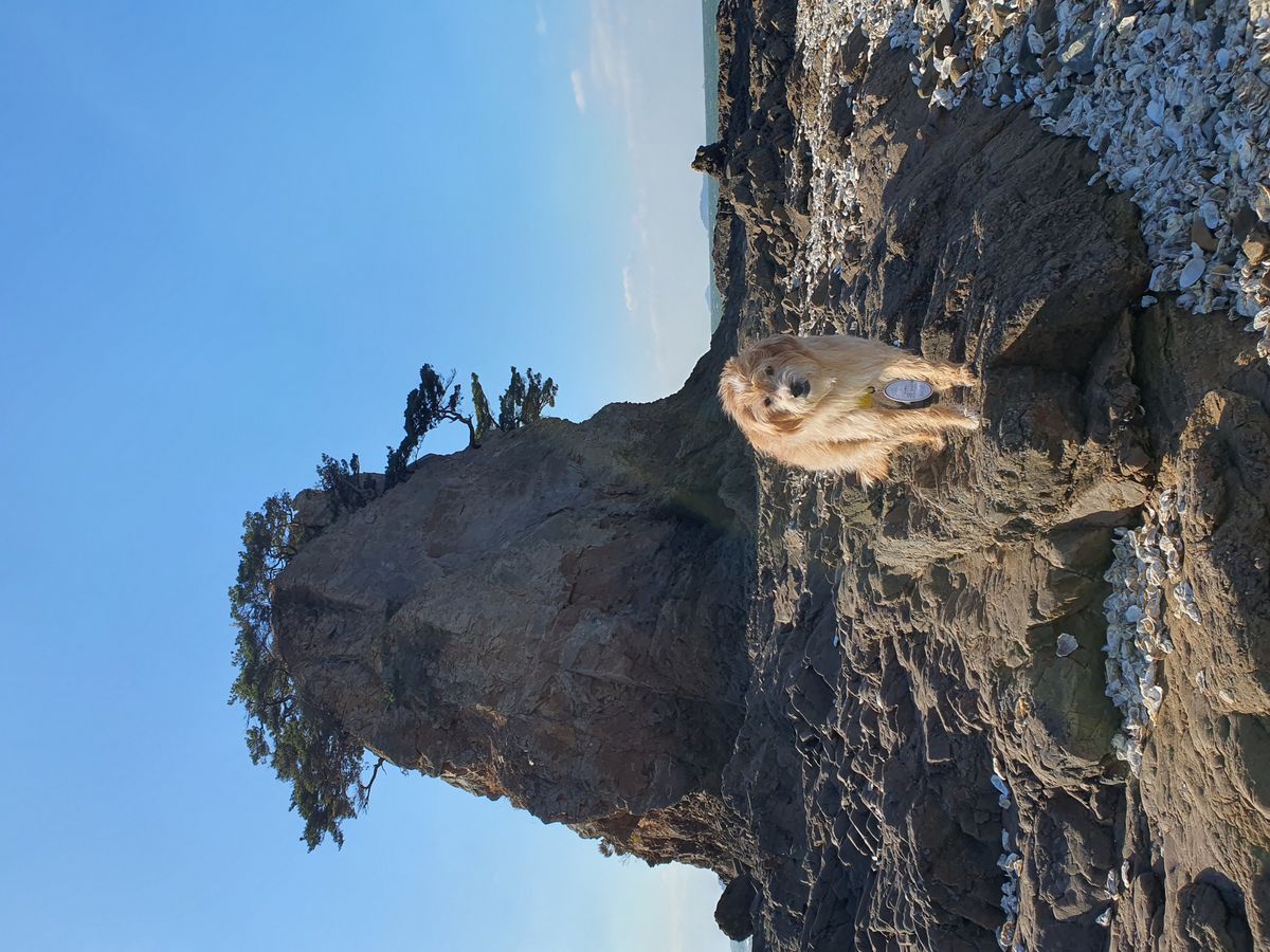 사진/ 신진주