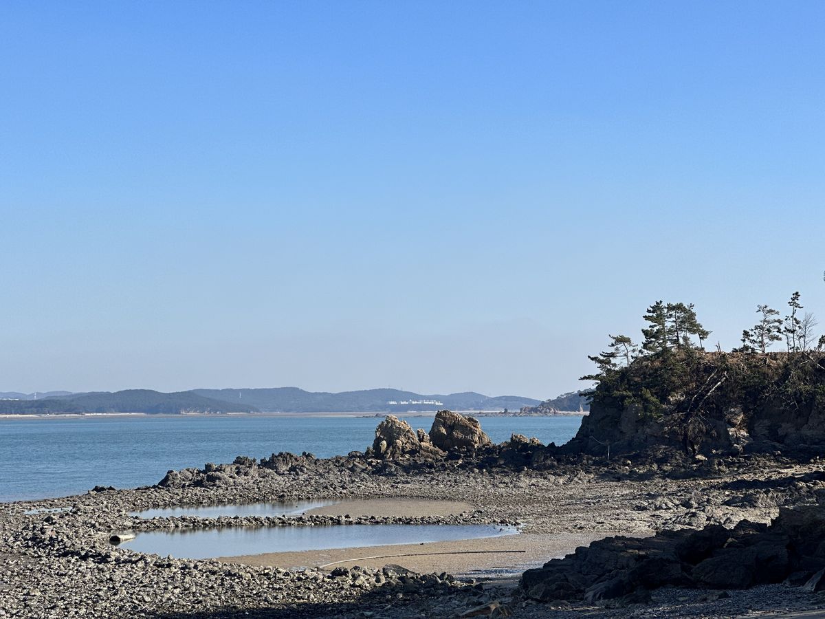 사진/ 신진주