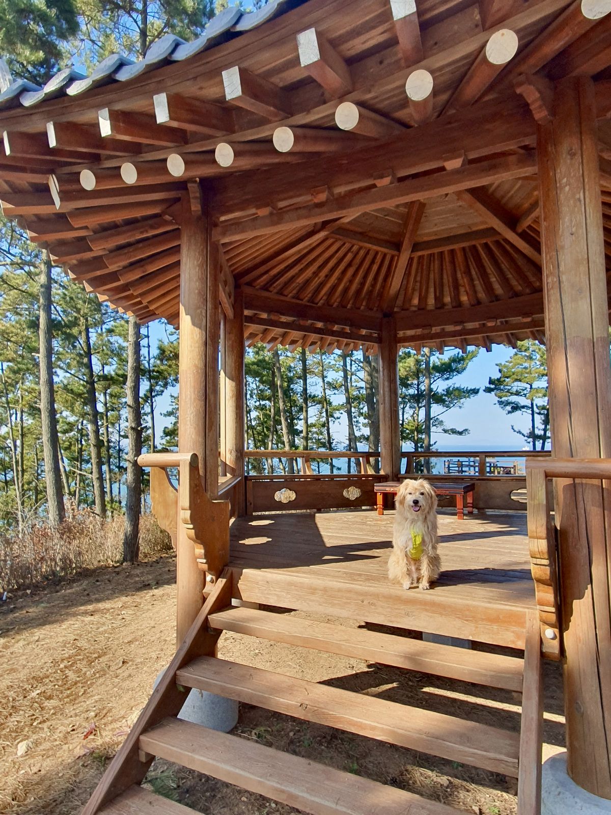 사진/ 신진주