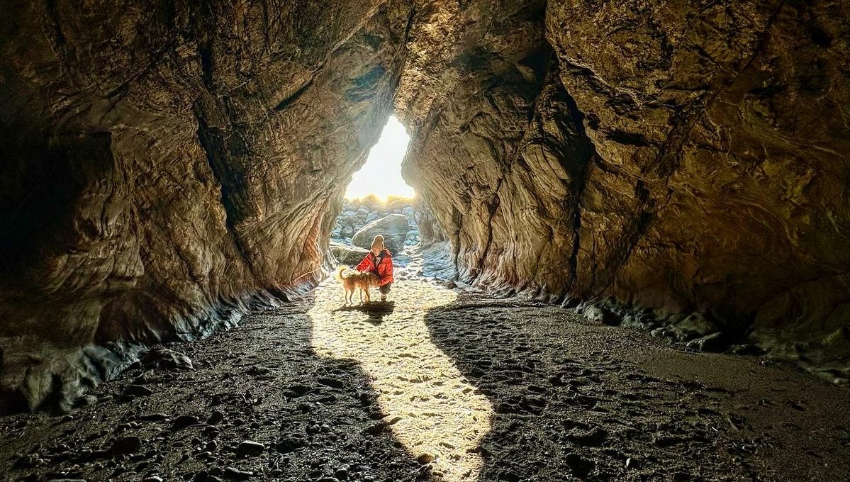 사진/ 신진주