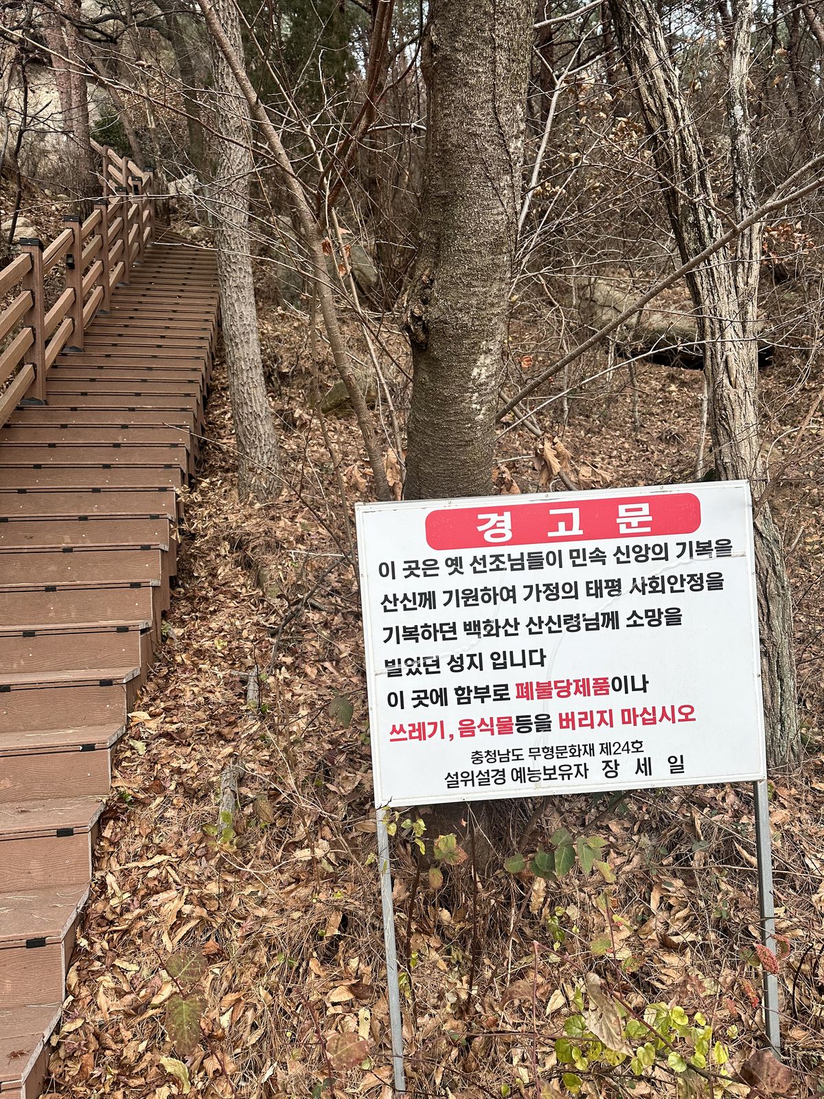 사진/ 신진주