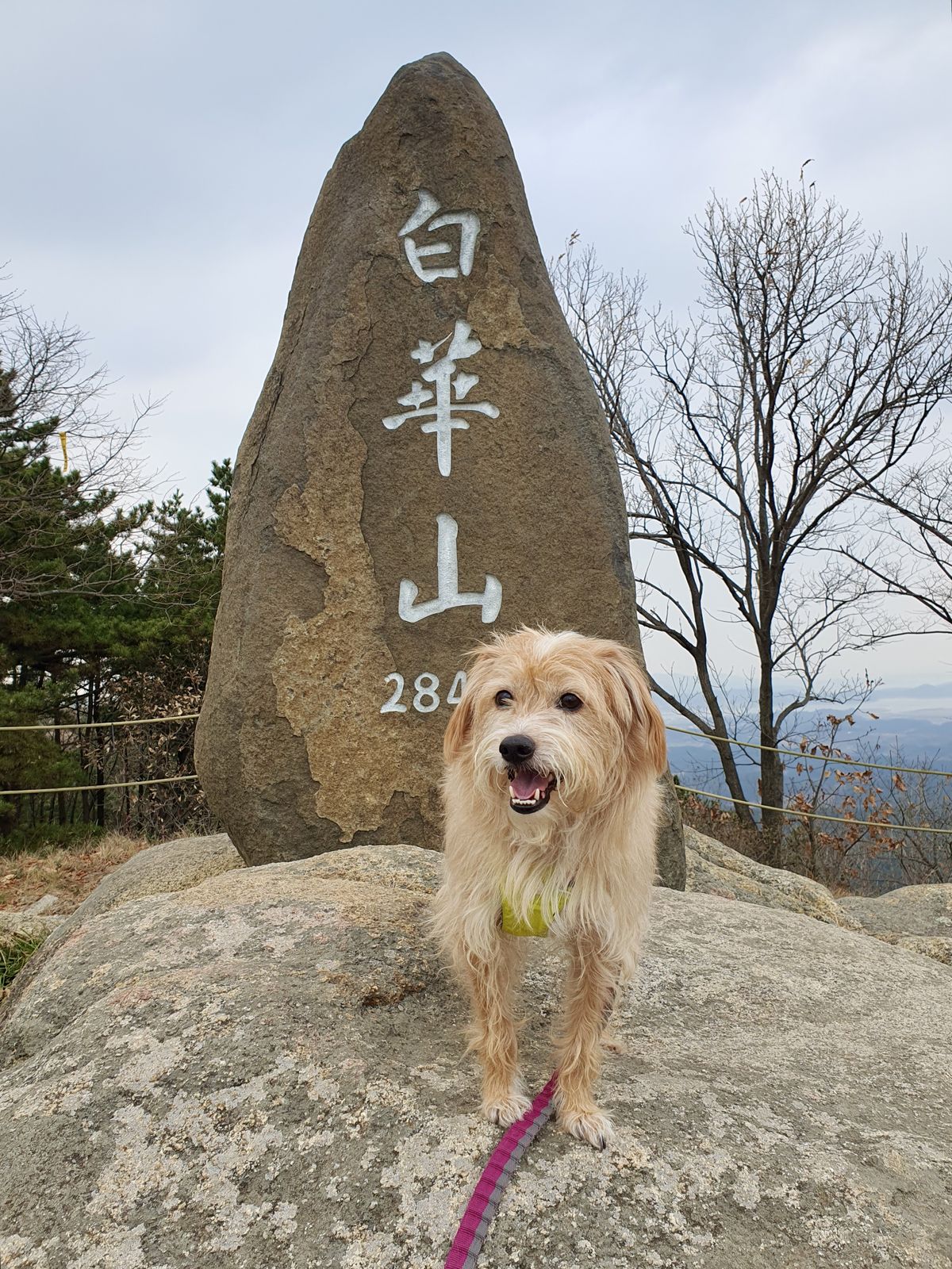 사진/ 신진주