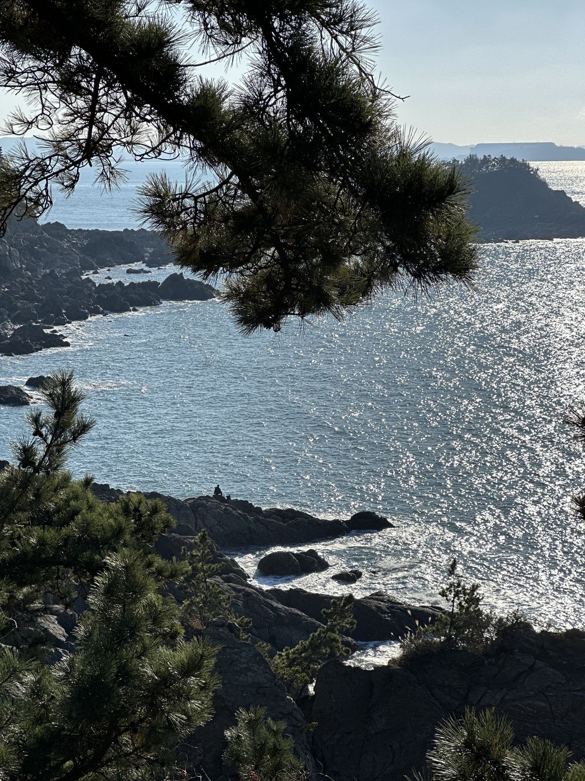 사진/ 신진주