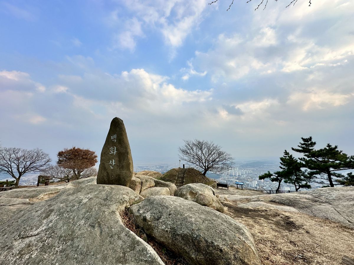 사진/ 신진주