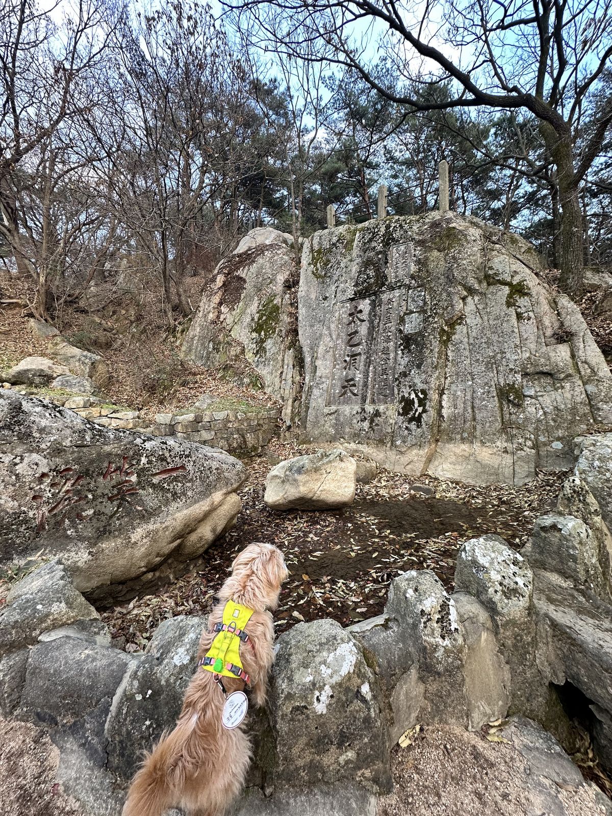 사진/ 신진주