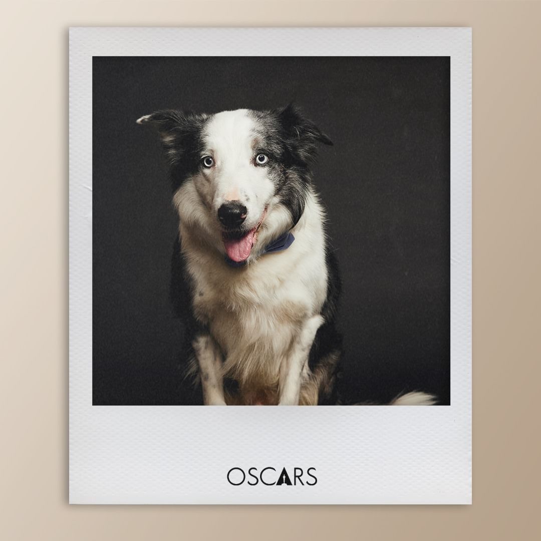 사진/ @theacademy