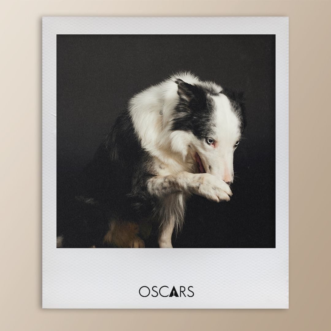 사진/ @theacademy