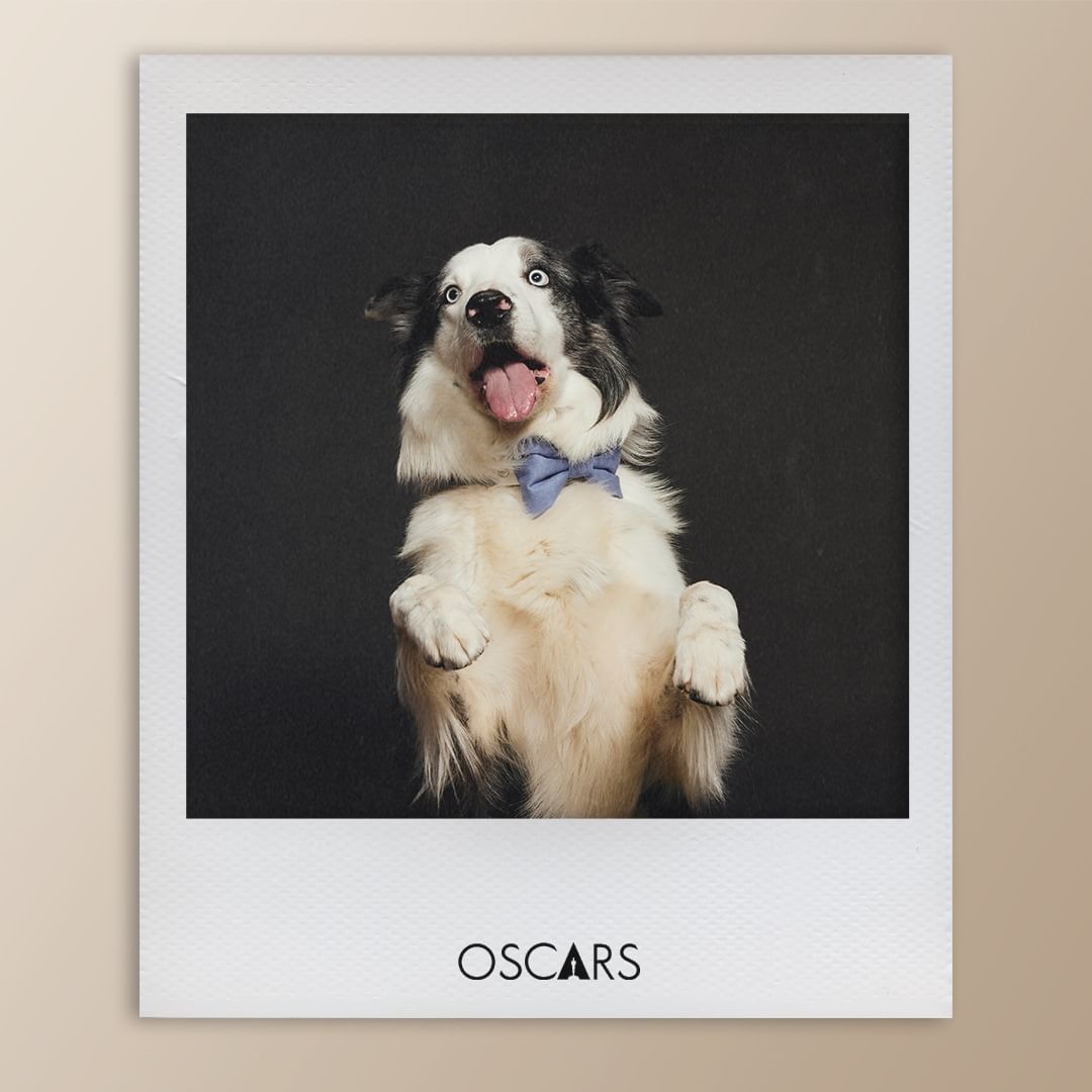 사진/ @theacademy