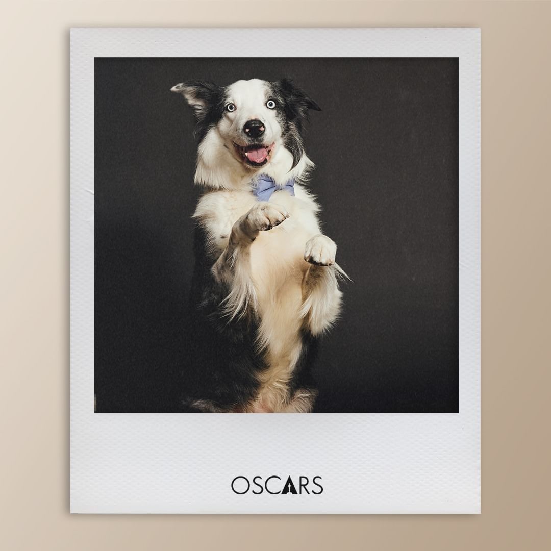 사진/ @theacademy