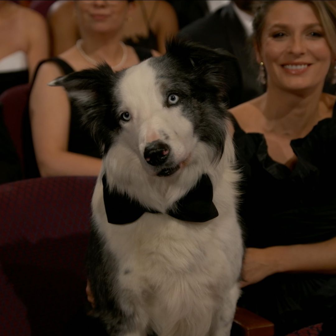 사진/ @theacademy