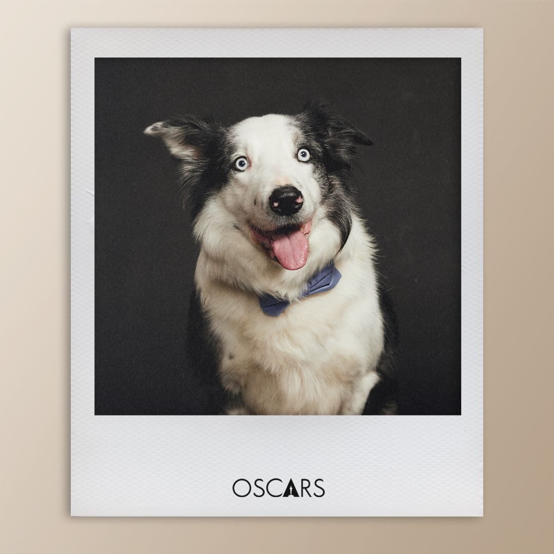 사진/ @theacademy
