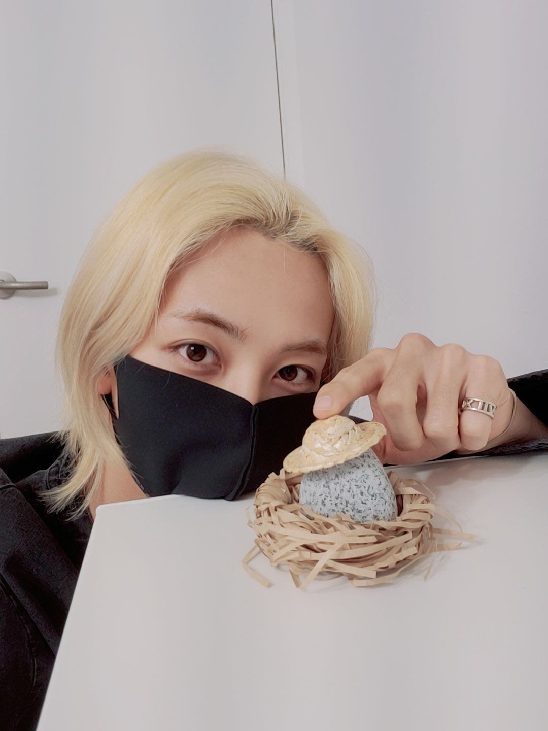 사진 / 세븐틴 위버스