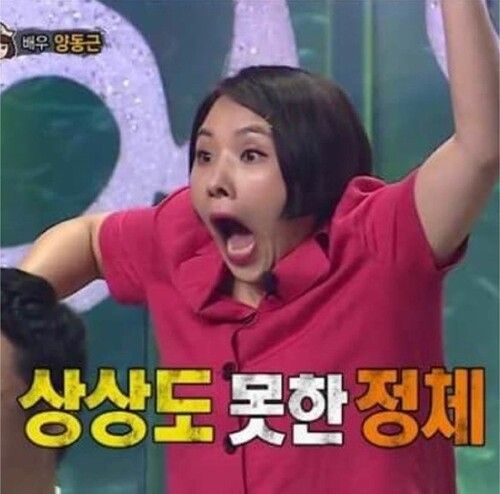 사진/ 오늘의 짤방