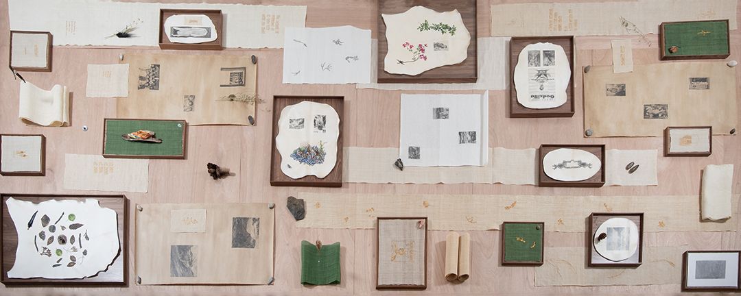 <Untitled (Constellation)>(Detail), 2023, Graphite, watercolor, antique 24K gold thread, Sambe, indigo dyed Sambe, pearls, 24K gold leaf, brass nails, goatskin parchment, walnut frame, dried plants and seeds from Elysian Park and Fort Road Beach in Singapore, pearls, feathers, silver wire, fossilized leaves from Pennsylvanian to Eocene eras, meteorite, fossilized copper, pebbles, wood, paper, mulberry paper, lacquered mulberry paper, Approx. 6x118x295 in(15x300x750cm).