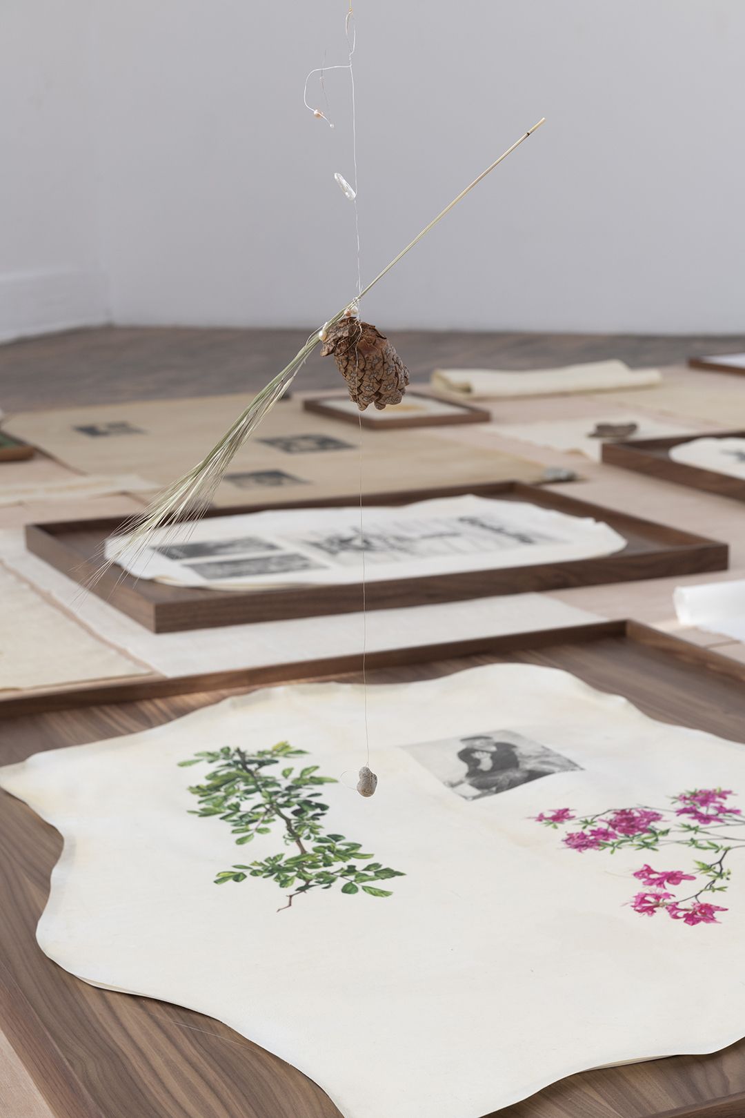<Untitled (Constellation)>(Detail), 2023, Graphite, watercolor, antique 24K gold thread, Sambe, indigo dyed Sambe, pearls, 24K gold leaf, brass nails, goatskin parchment, walnut frame, dried plants and seeds from Elysian Park and Fort Road Beach in Singapore, pearls, feathers, silver wire, fossilized leaves from Pennsylvanian to Eocene eras, meteorite, fossilized copper, pebbles, wood, paper, mulberry paper, lacquered mulberry paper, Approx. 6x118x295 in(15x300x750cm).