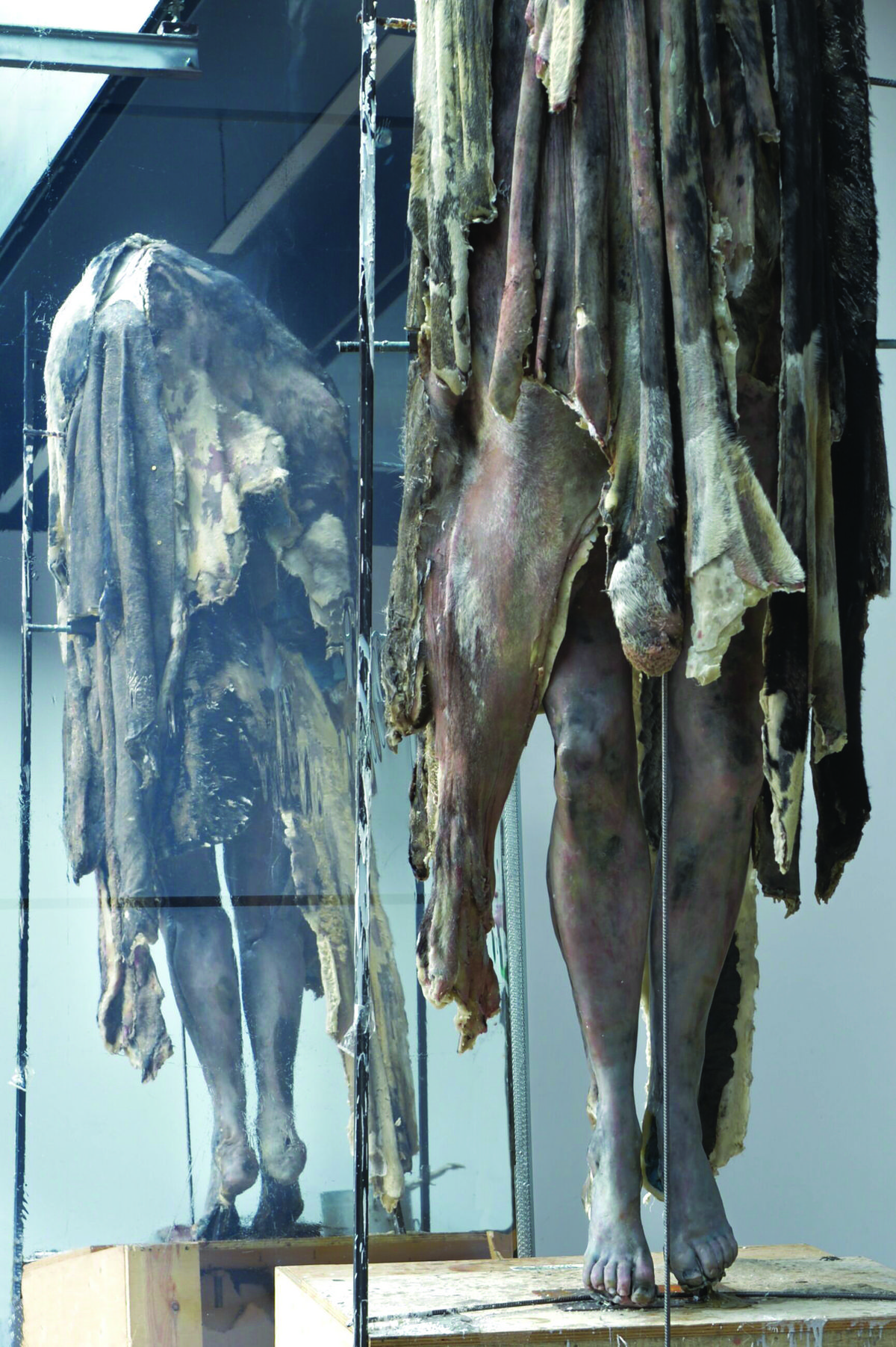 Arcangelo II (San Giorgio) (work in progress), 2024 © Berlinde De Bruyckere