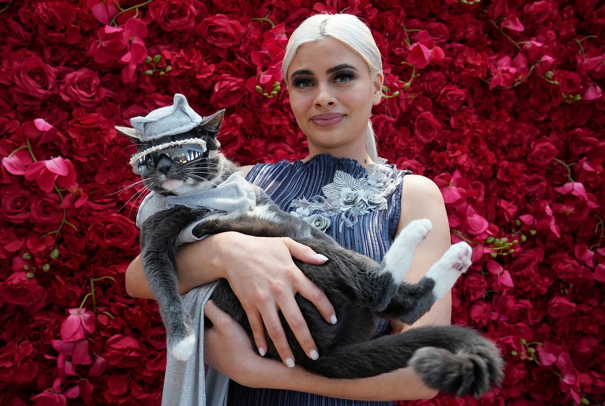 사진/ The Pet Gala