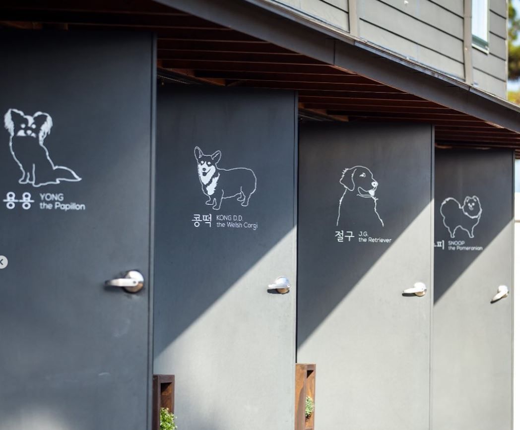 사진/ mungzip.com