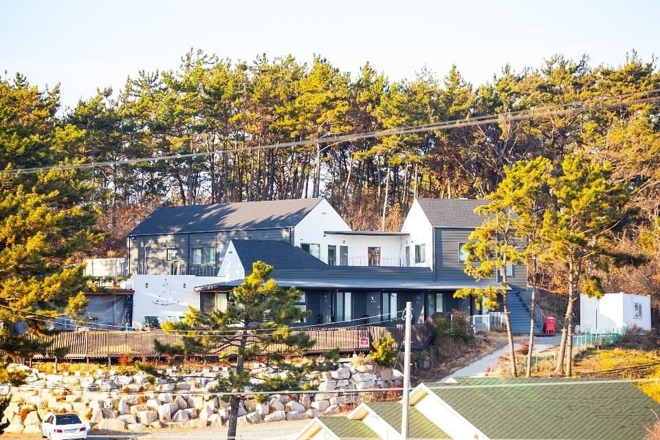 사진/ mungzip.com