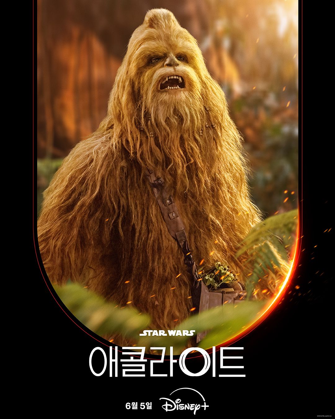 사진 / 디즈니+