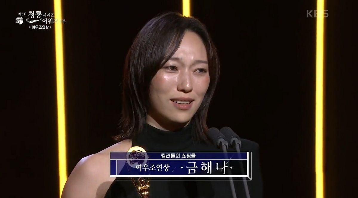 KBS 2TV <청룡시리즈어워즈> 화면캡처