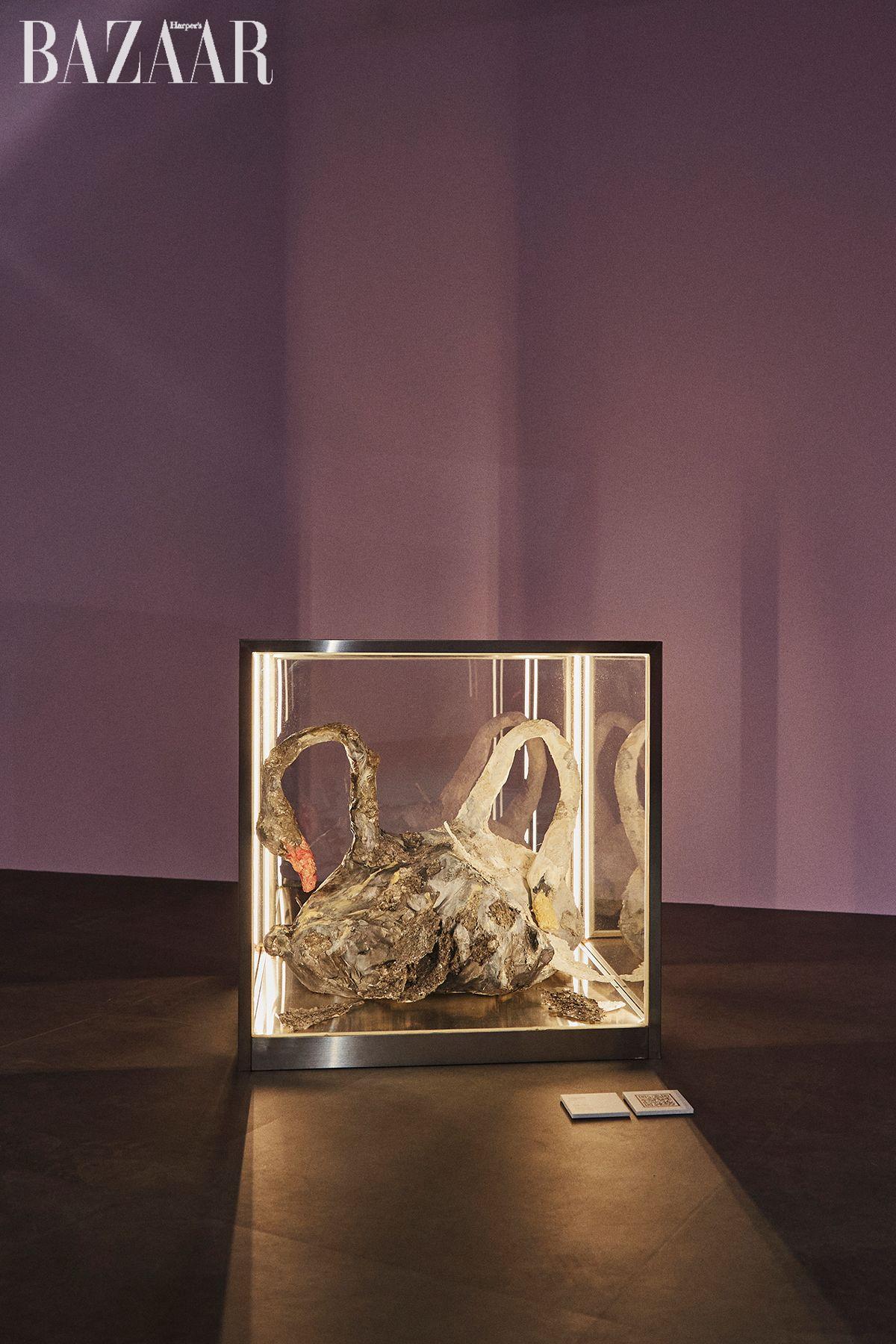 허수연, <소리없는 비명>, 65x65x65cm, Glass box, oil painting on hanji and paperpaste, 2024.