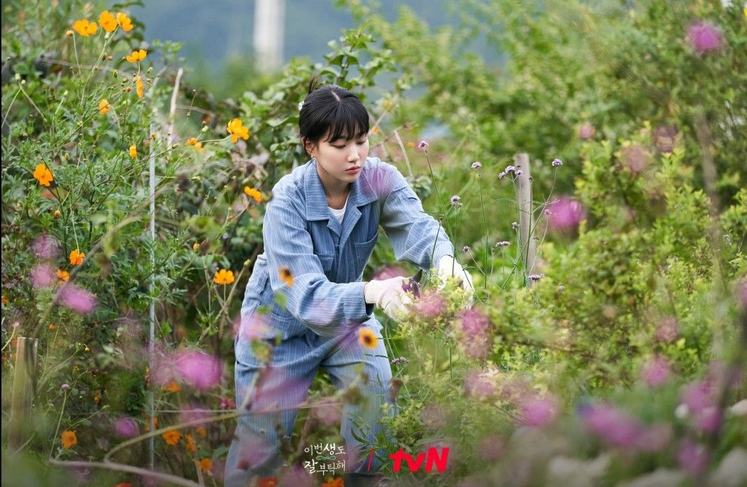 tvN 드라마 <이번 생도 잘 부탁해> 스틸