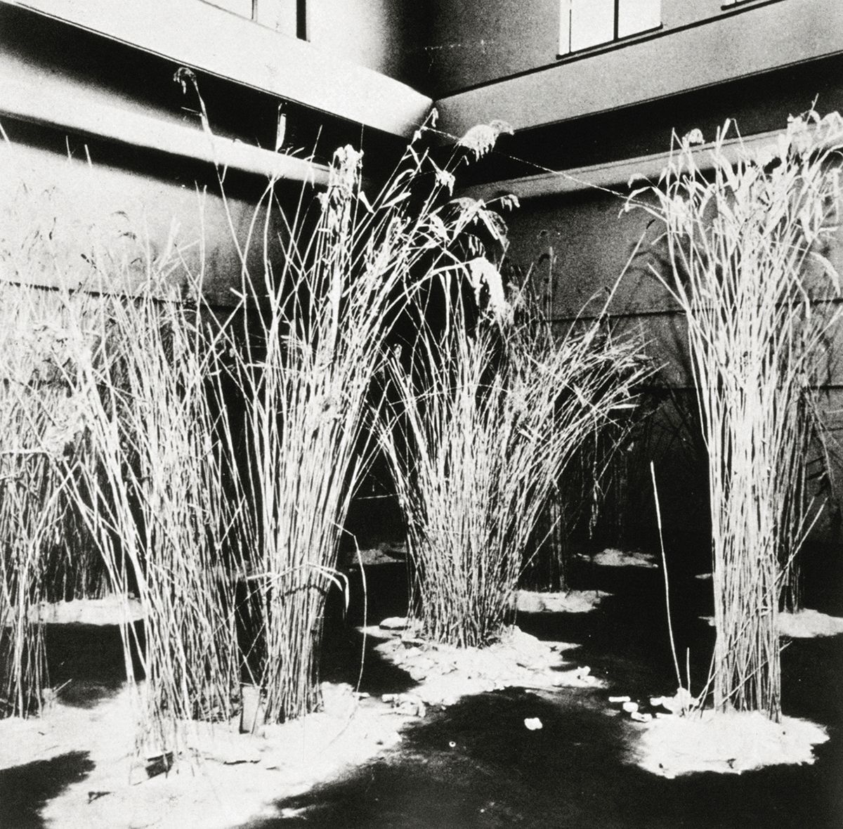 <여백>, 1971, Reed, paint, plaster, Dimensions variable, Installation view at The 2nd AG Exhibition.