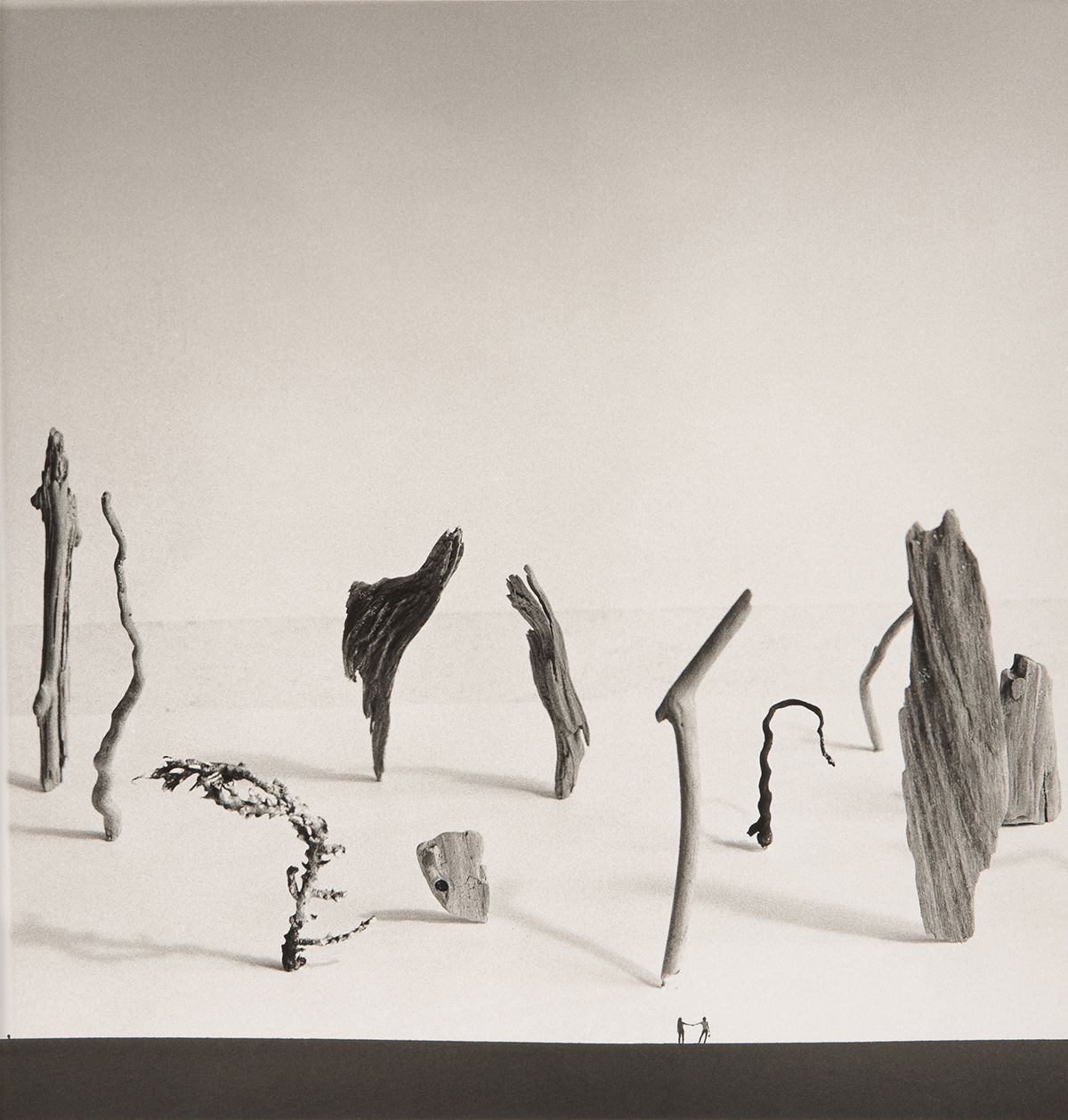 <떠밀려온 것들(Small Drifters)>, 1948, 22.9x21.9cm. © SHOJI UEDA