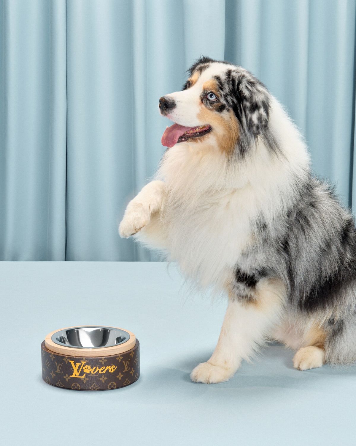 LOUIS VUITTON 도그 볼, 3백14만원.