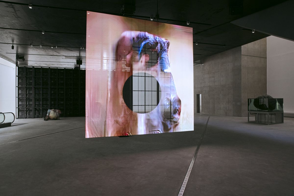 <U움벨트-안리(UUmwelt – Annlee)>, 2018-2025 전시 전경.