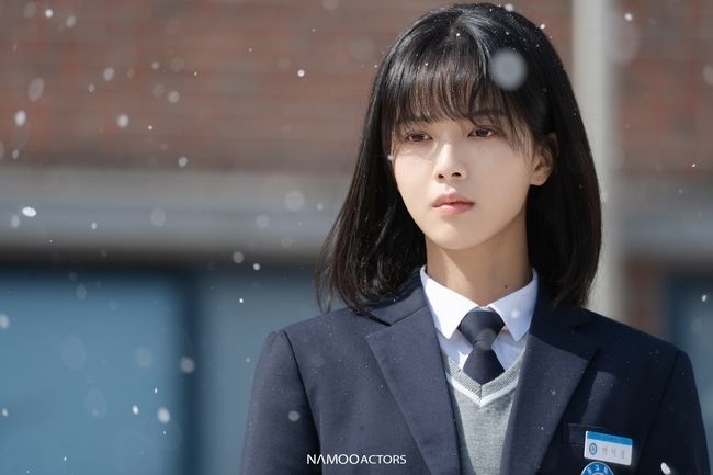 사진 / 나무엑터스
