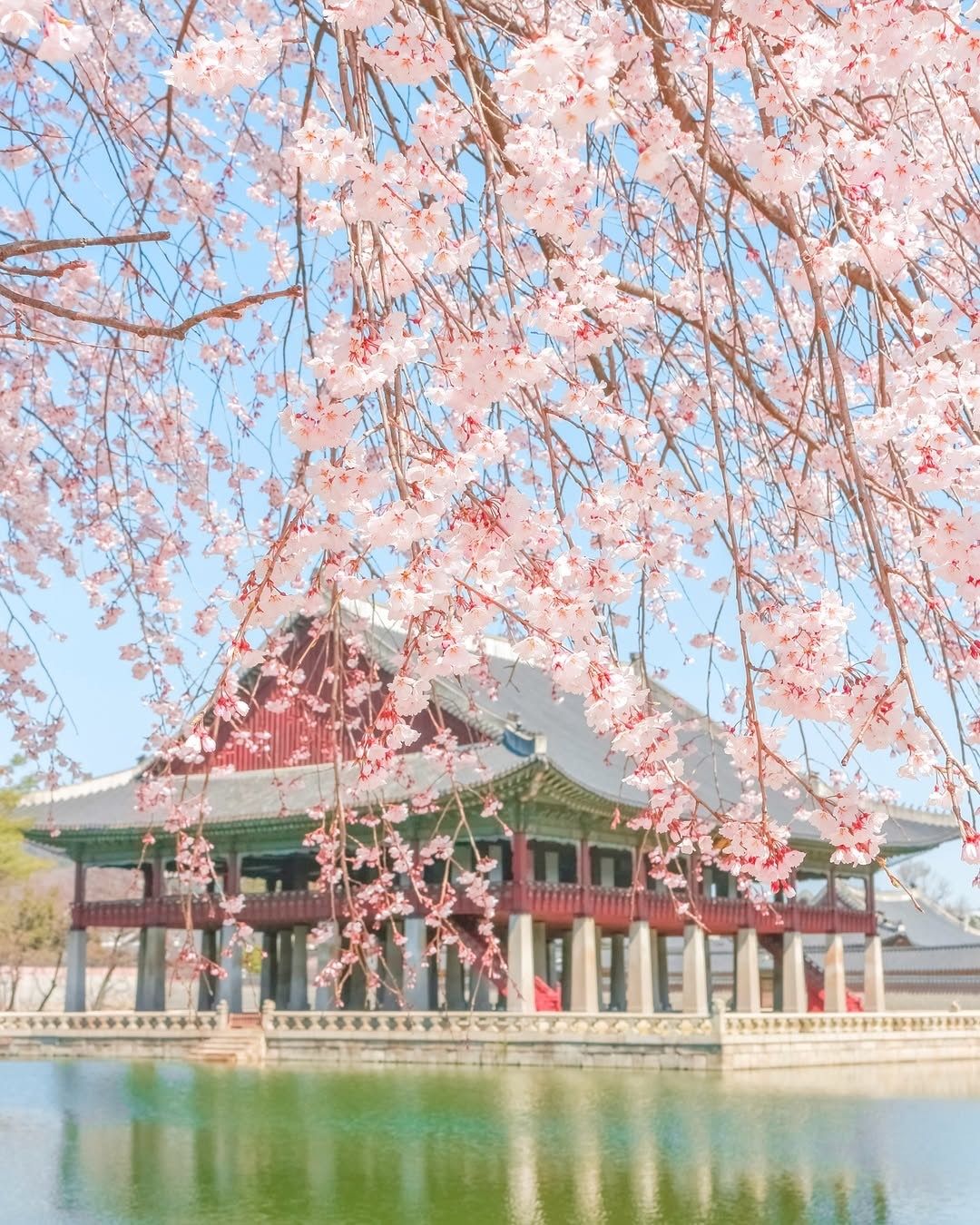 서울 경복궁, 출처 @crystal.film_