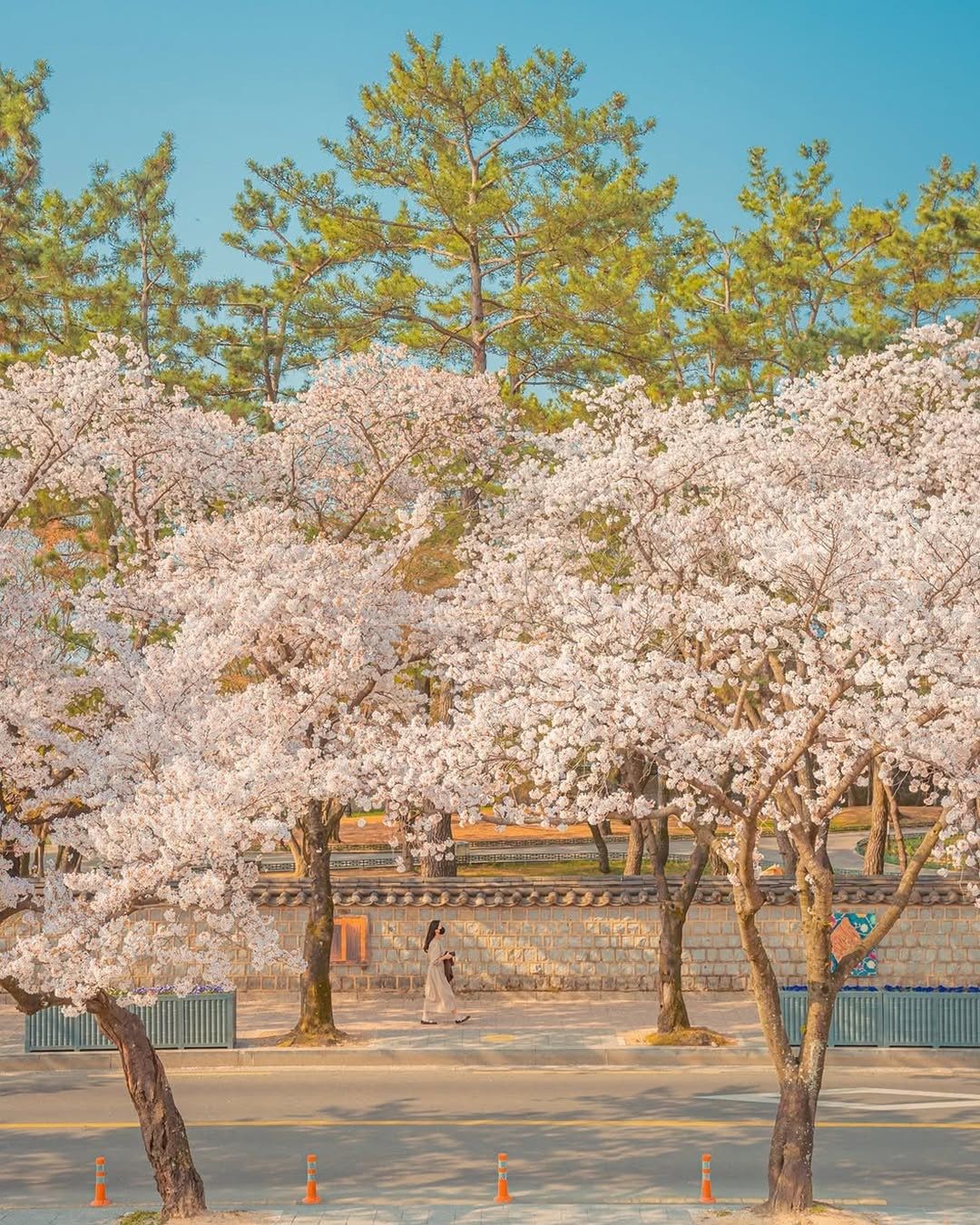 대릉원 돌담길, 출처 @kto_dg.yeojido