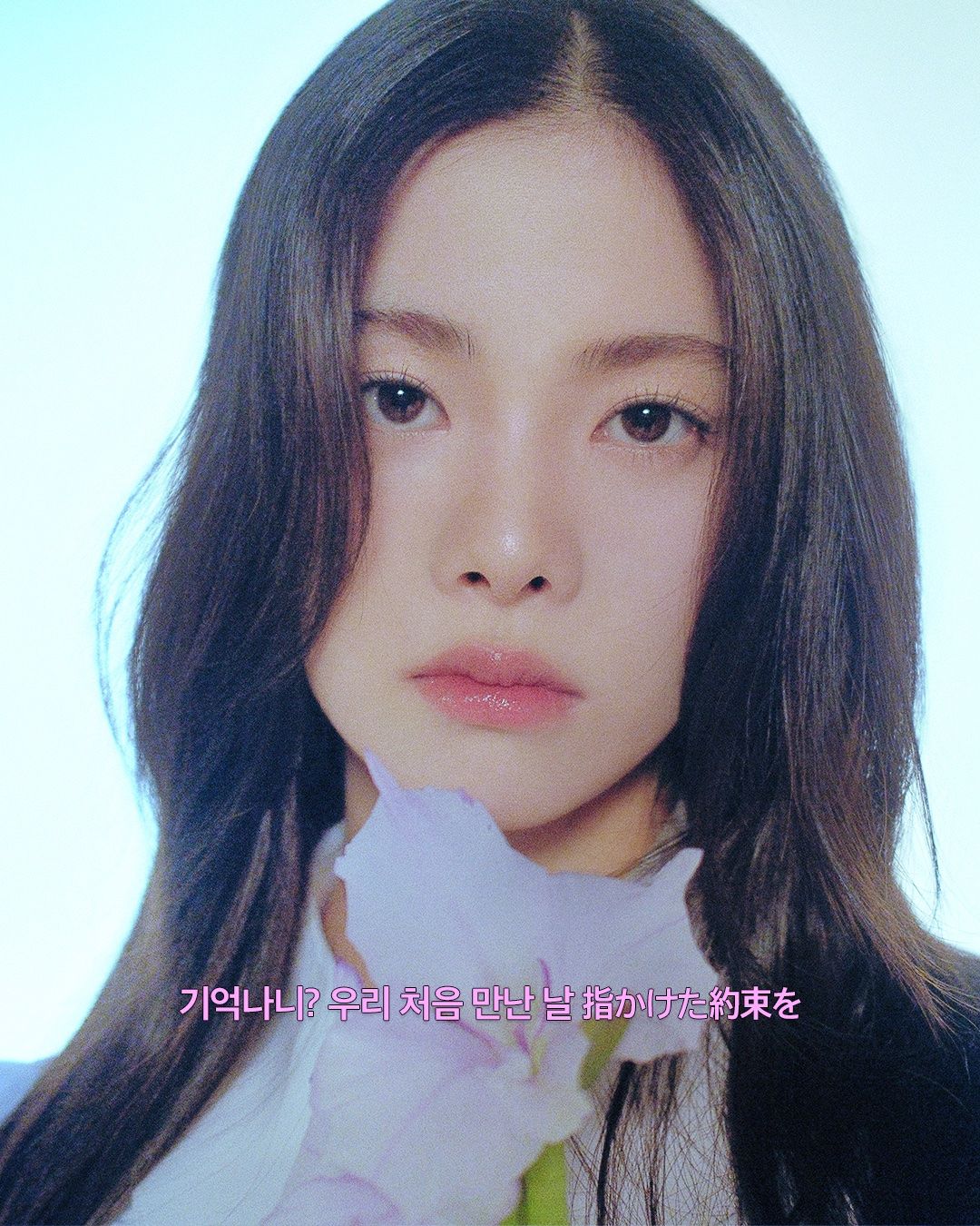 에이메이(a'mei) 