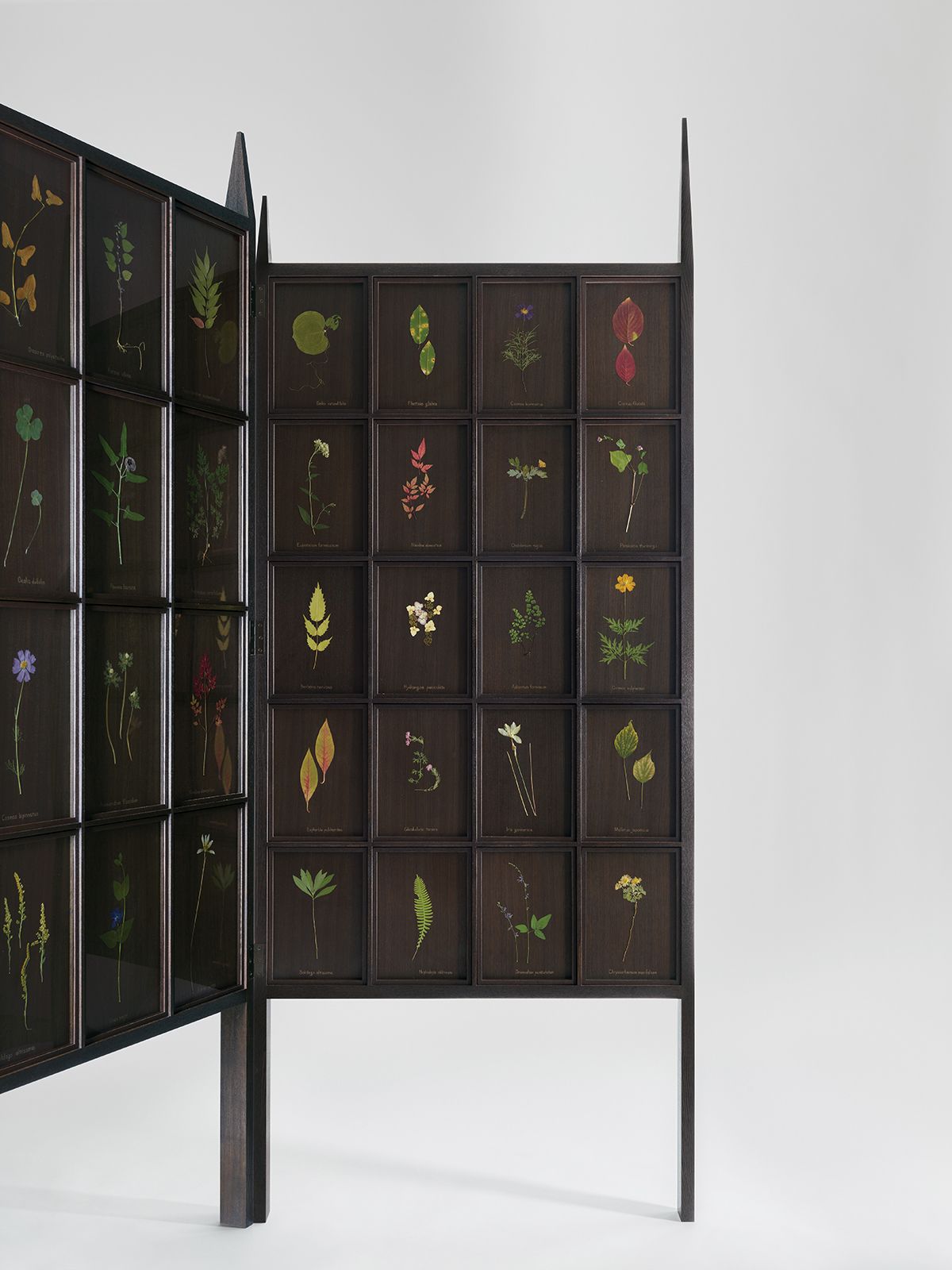 <새로운 유대(New Alliance)>, 2025, Wood structure with pressed flowers on 112 urushi lacquered wood panel, framed, 212.6x238x6.9cm. Courtesy the artist and Kukje Gallery.