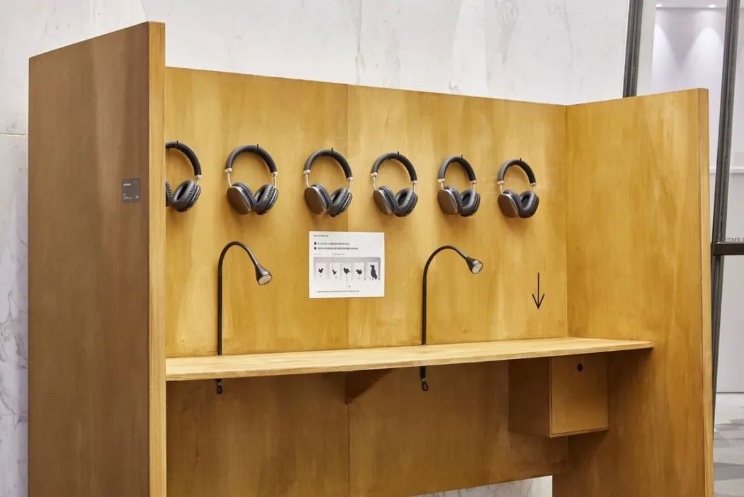 천경우 개인전 <Bird Listener> 전경 / 사진 @lottegallery_official