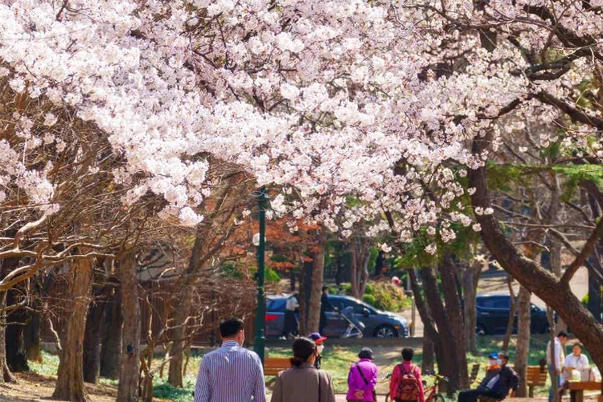 대구 두류공원_대구 달서구 제공