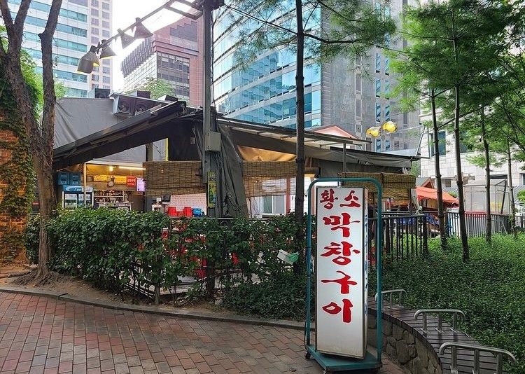 다동 황소막창_업체제공
