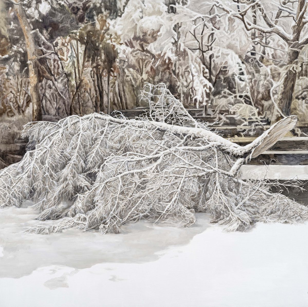 문경원, <소프트 커튼_나무 II>, 2024–2025, 캔버스에 아크릴릭, 유채, 140 x 140 cm. Courtesy of the artist and Gallery Hyundai 갤러리현대 제공.