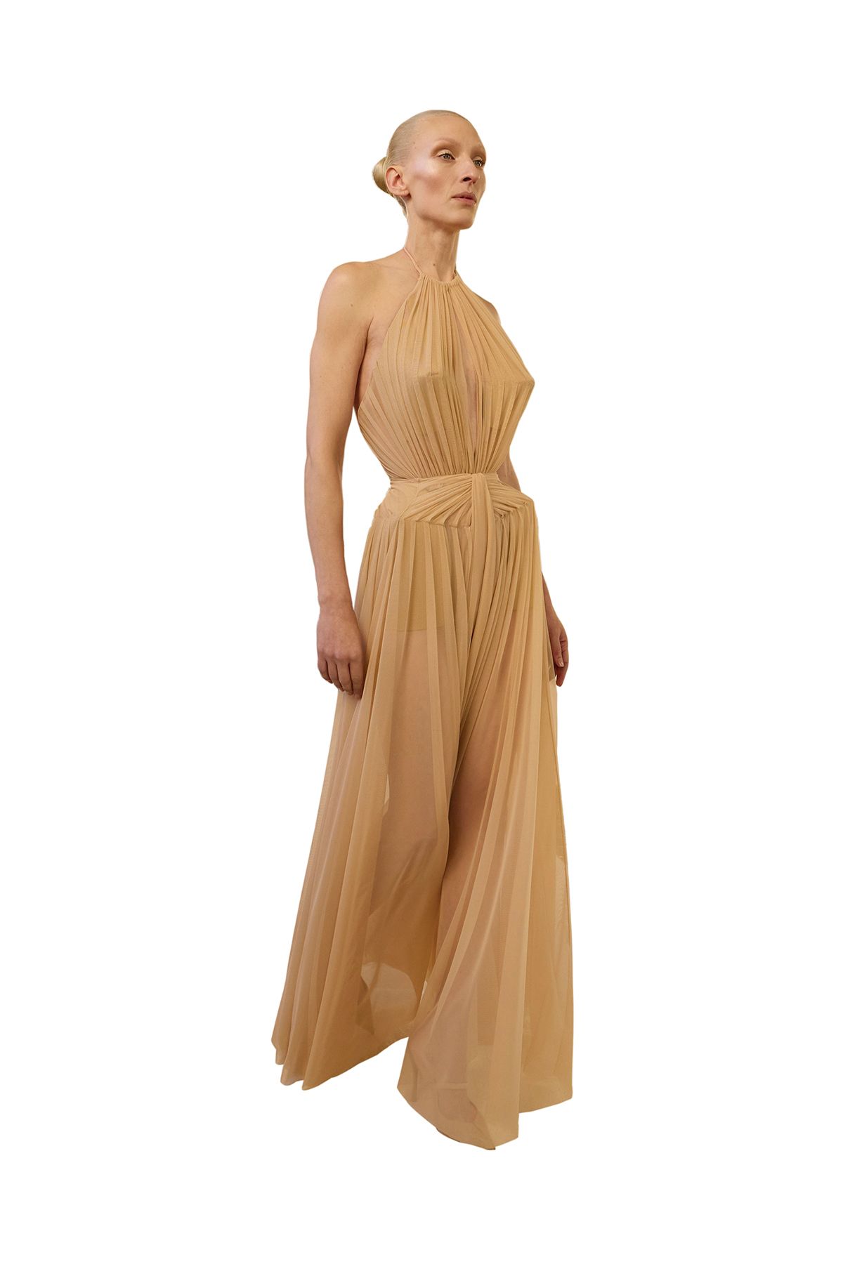 Schiaparelli