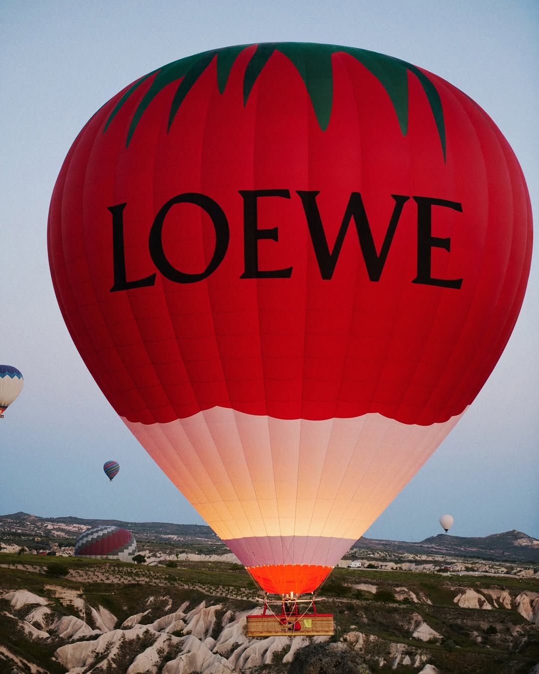 사진/Loewe