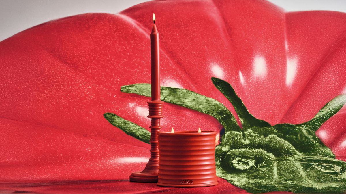 Loewe Medium Tomato Leaves candle, 37만 7천 원