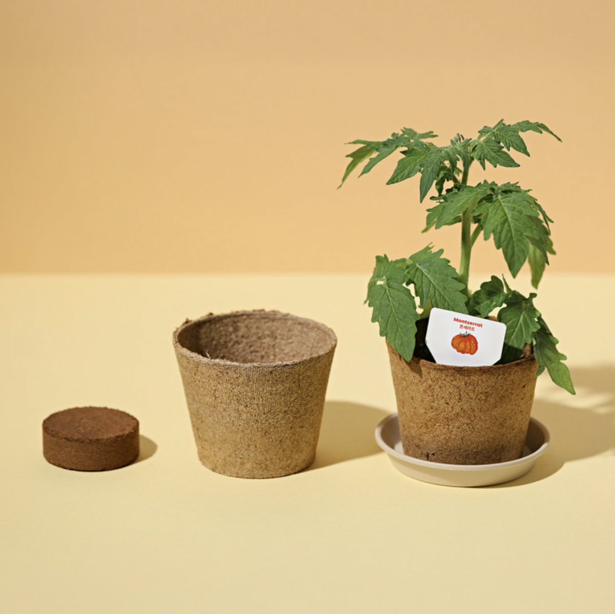 사진/ 그래도팜 제공