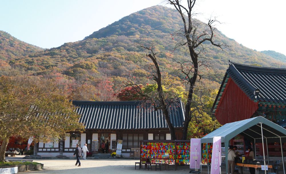선운사_전북도청 제공