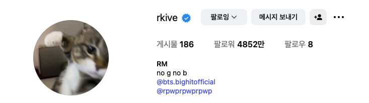 사진 / RM 인스타그램 프로필 캡처 